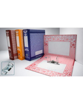 Box File - Docucare - Steel Lever