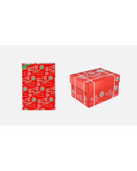 B2B A4 Copier Paper – 70 GSM